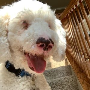 Meet your Posher, Tori